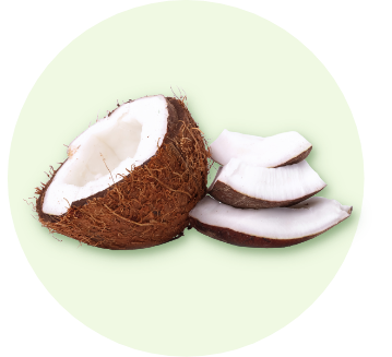 Saveur noix de coco