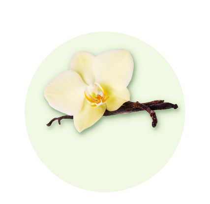Saveur vanille
